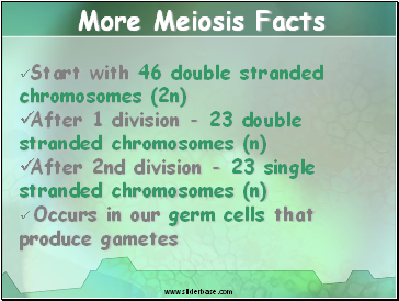 Start with 46 double stranded chromosomes (2n)