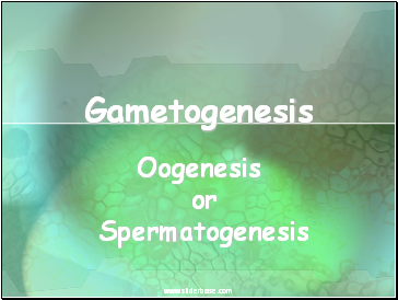 Gametogenesis