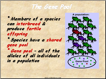 The Gene Pool