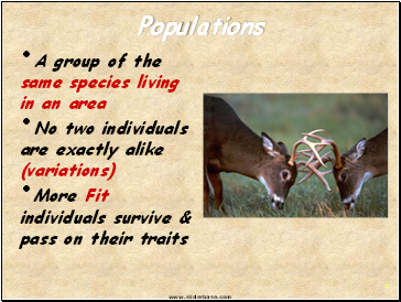 Populations