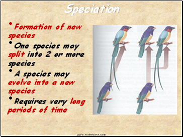 Speciation