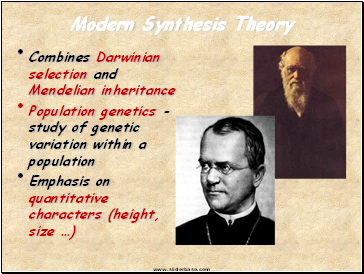 Modern Synthesis Theory