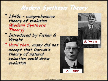 Modern Synthesis Theory
