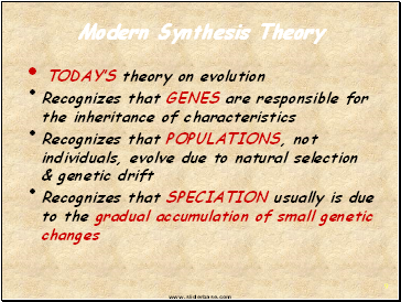 Modern Synthesis Theory