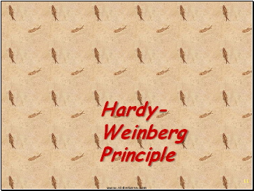 Hardy-Weinberg Principle