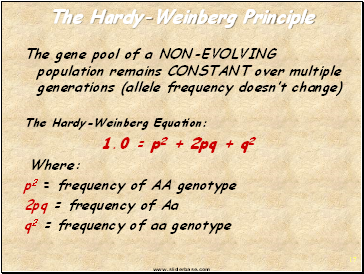 The Hardy-Weinberg Principle