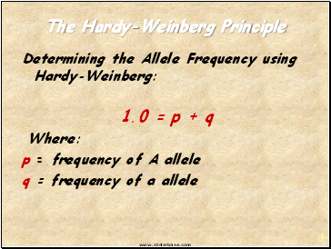 The Hardy-Weinberg Principle