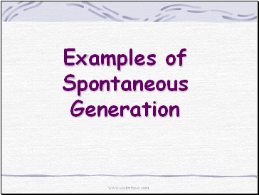 Examples of Spontaneous Generation