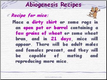 Abiogenesis Recipes