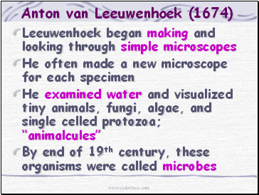 Anton van Leeuwenhoek (1674)