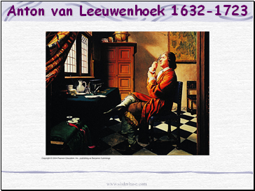 Anton van Leeuwenhoek 1632-1723