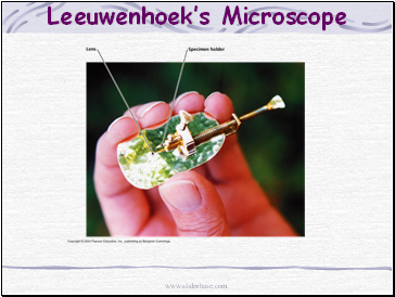 Leeuwenhoeks Microscope
