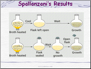 Spallanzanis Results