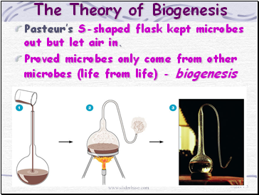 Pasteurs S-shaped flask kept microbes out but let air in.