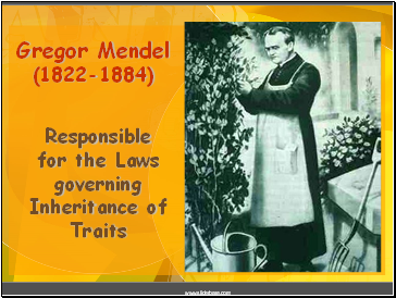 Gregor Mendel (1822-1884)