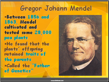 Gregor Johann Mendel