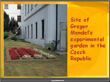 Site of Gregor Mendel’s experimental garden in the Czech Republic