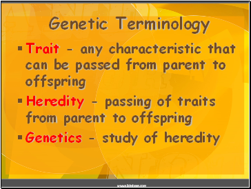 Genetic Terminology