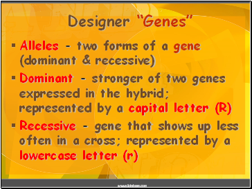 Designer “Genes”