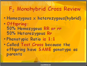 F2 Monohybrid Cross Review