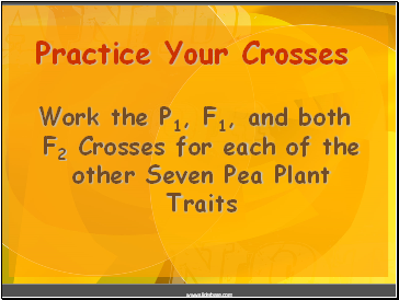 Practice Your Crosses