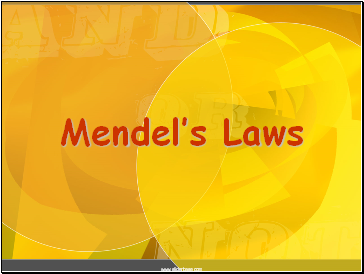 Mendels Laws