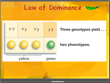 Law of Dominance