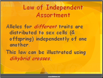 Law of Independent Assortment