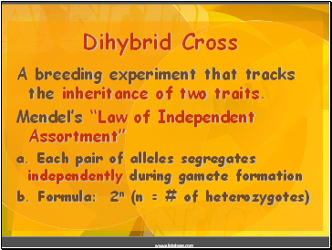 Dihybrid Cross