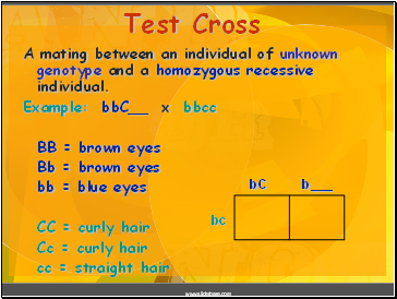 Test Cross