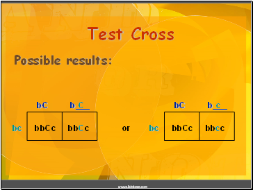 Test Cross