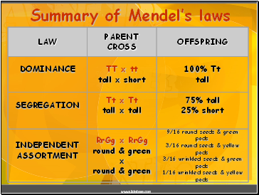 Summary of Mendels laws
