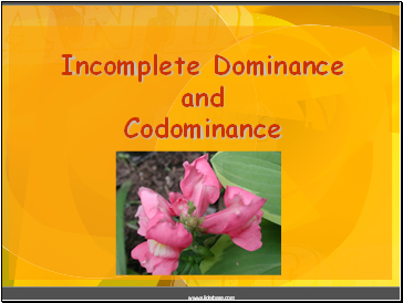 Incomplete Dominance and Codominance