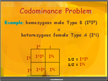 Codominance Problem