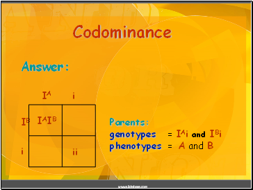 Codominance