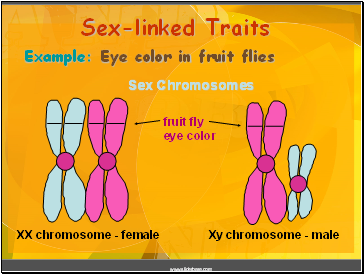 Sex-linked Traits