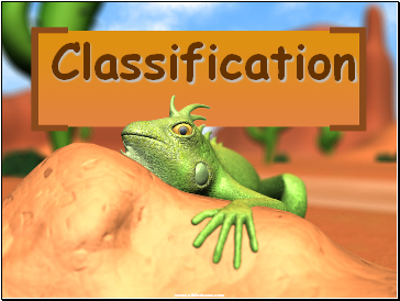 Classification