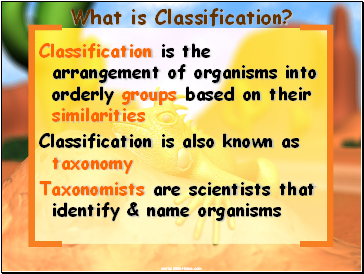 What is Classification?