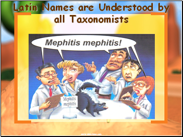 Latin Names are Understood by all Taxonomists