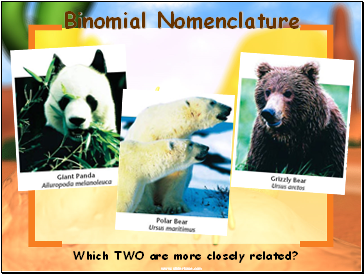 Binomial Nomenclature