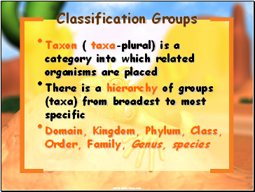 Classification Groups