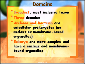 Domains