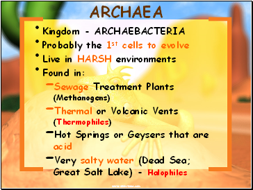 ARCHAEA