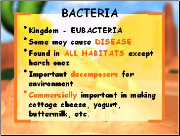 BACTERIA