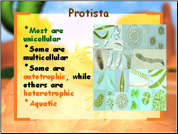 Protista