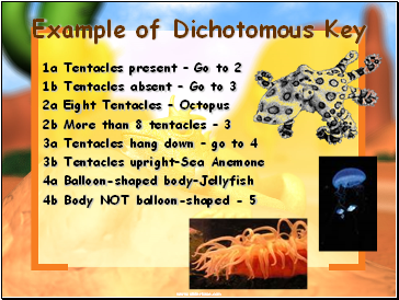 Example of Dichotomous Key