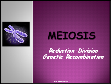 MEIOSIS