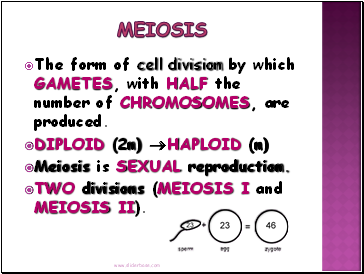 Meiosis