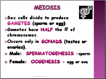 Meiosis