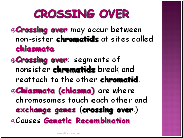 Crossing Over